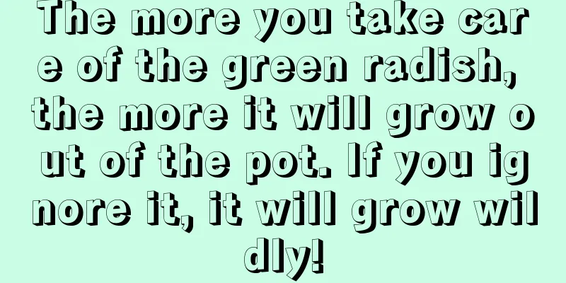 The more you take care of the green radish, the more it will grow out of the pot. If you ignore it, it will grow wildly!