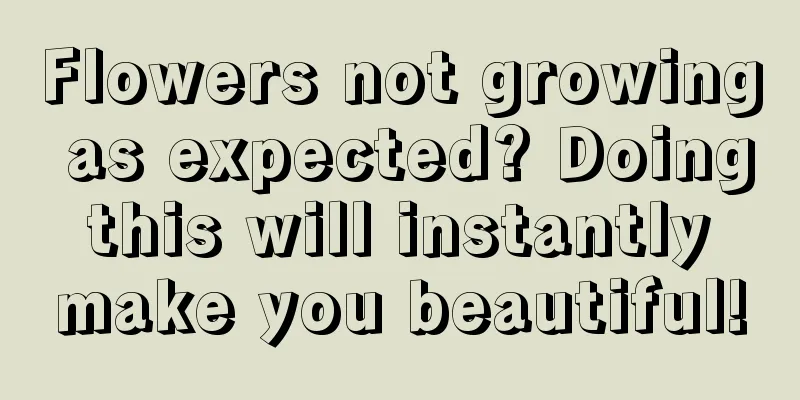 Flowers not growing as expected? Doing this will instantly make you beautiful!