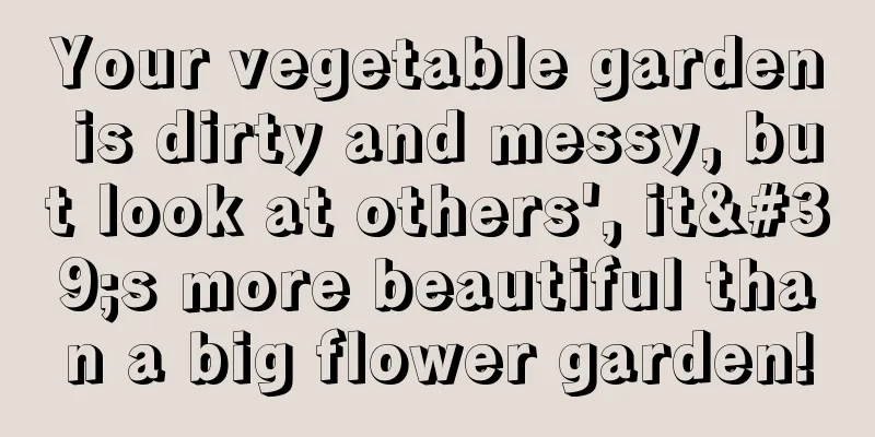 Your vegetable garden is dirty and messy, but look at others', it's more beautiful than a big flower garden!