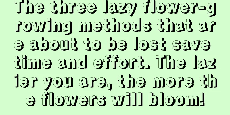 The three lazy flower-growing methods that are about to be lost save time and effort. The lazier you are, the more the flowers will bloom!