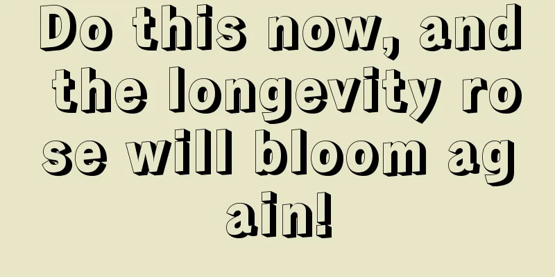 Do this now, and the longevity rose will bloom again!