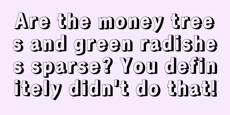 Are the money trees and green radishes sparse? You definitely didn't do that!