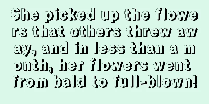 She picked up the flowers that others threw away, and in less than a month, her flowers went from bald to full-blown!