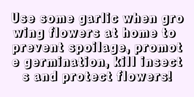 Use some garlic when growing flowers at home to prevent spoilage, promote germination, kill insects and protect flowers!