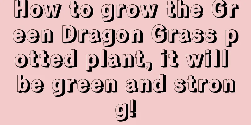 How to grow the Green Dragon Grass potted plant, it will be green and strong!