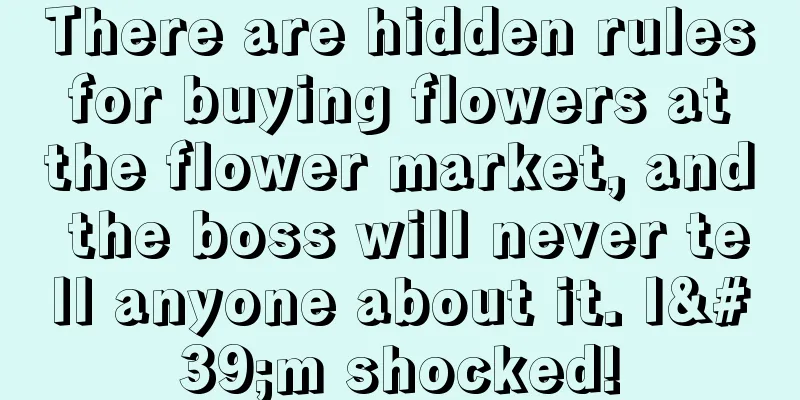 There are hidden rules for buying flowers at the flower market, and the boss will never tell anyone about it. I'm shocked!