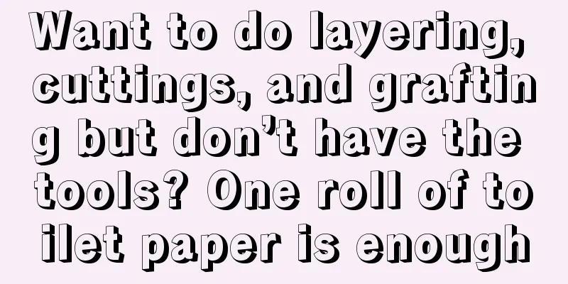 Want to do layering, cuttings, and grafting but don’t have the tools? One roll of toilet paper is enough