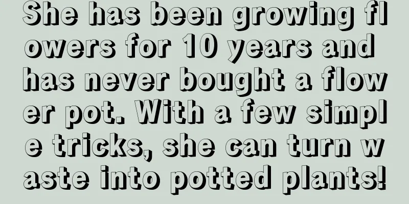 She has been growing flowers for 10 years and has never bought a flower pot. With a few simple tricks, she can turn waste into potted plants!