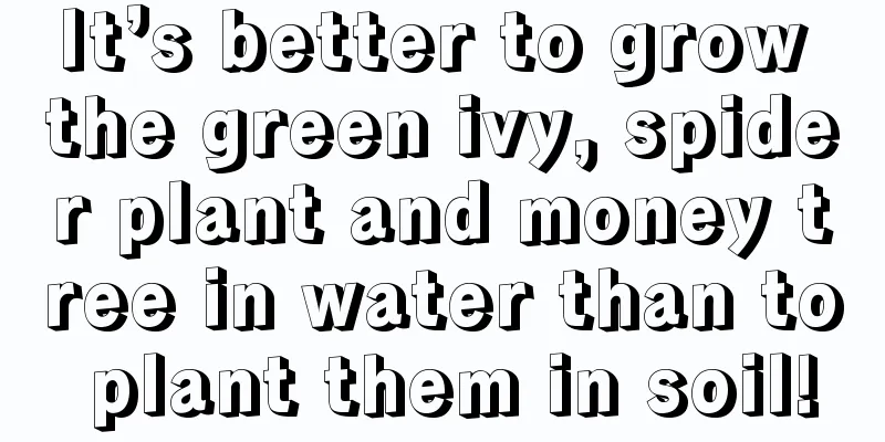 It’s better to grow the green ivy, spider plant and money tree in water than to plant them in soil!