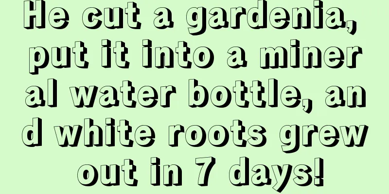 He cut a gardenia, put it into a mineral water bottle, and white roots grew out in 7 days!