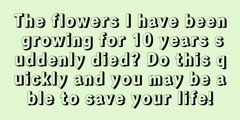 The flowers I have been growing for 10 years suddenly died? Do this quickly and you may be able to save your life!