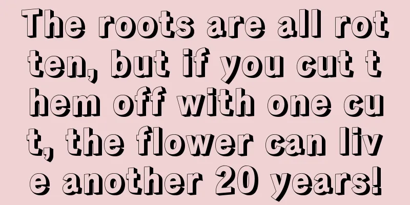 The roots are all rotten, but if you cut them off with one cut, the flower can live another 20 years!