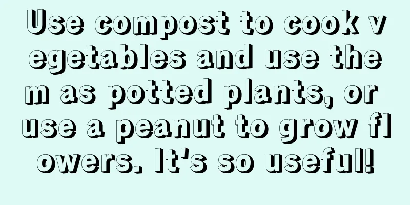 Use compost to cook vegetables and use them as potted plants, or use a peanut to grow flowers. It's so useful!