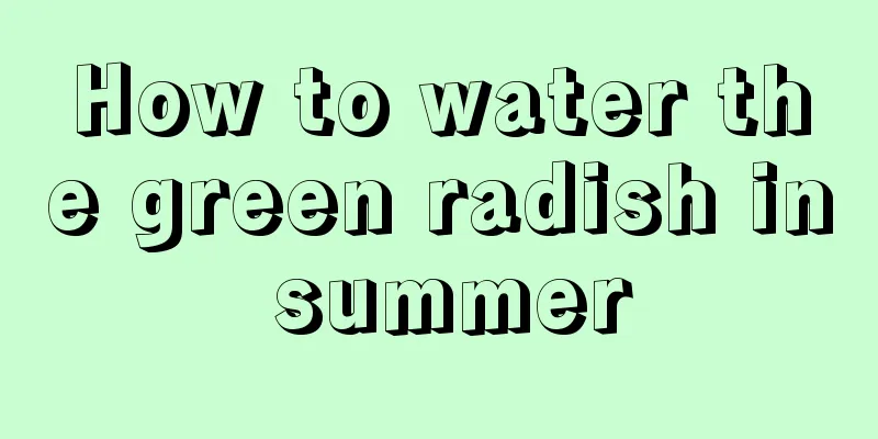 How to water the green radish in summer