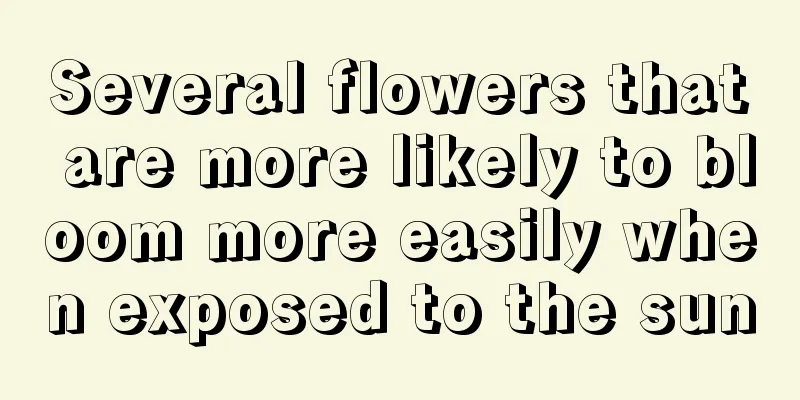 Several flowers that are more likely to bloom more easily when exposed to the sun