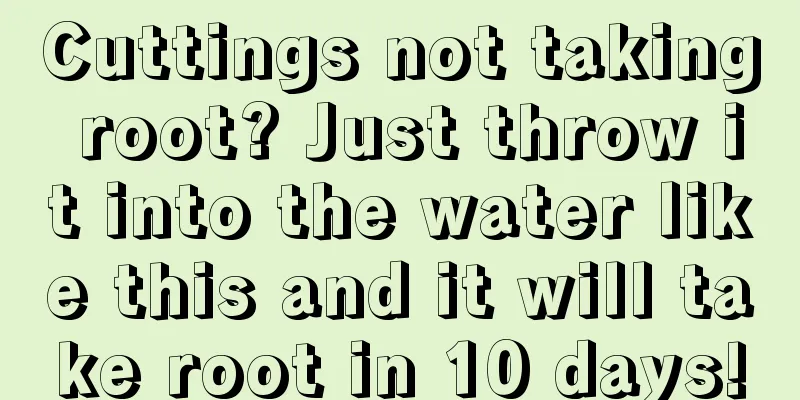 Cuttings not taking root? Just throw it into the water like this and it will take root in 10 days!