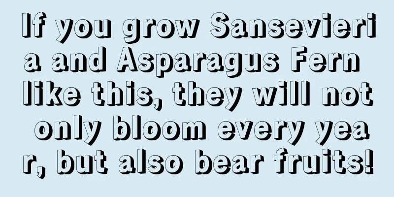 If you grow Sansevieria and Asparagus Fern like this, they will not only bloom every year, but also bear fruits!
