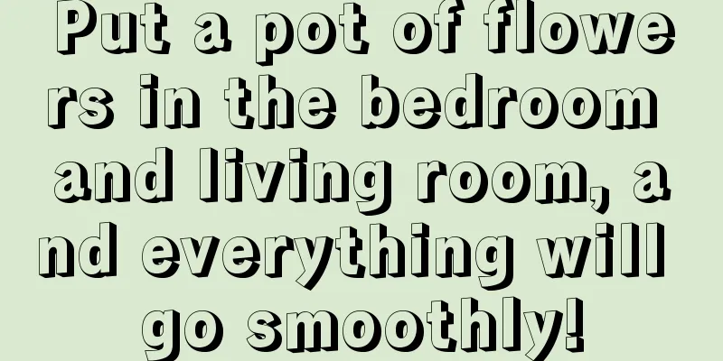 Put a pot of flowers in the bedroom and living room, and everything will go smoothly!