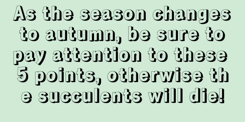 As the season changes to autumn, be sure to pay attention to these 5 points, otherwise the succulents will die!