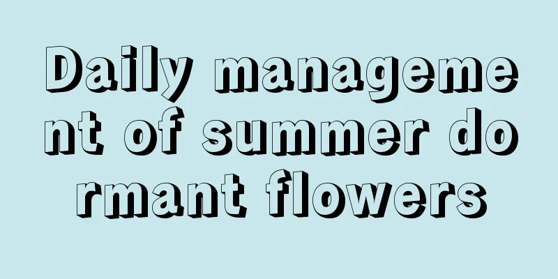 Daily management of summer dormant flowers