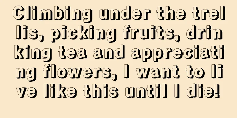 Climbing under the trellis, picking fruits, drinking tea and appreciating flowers, I want to live like this until I die!