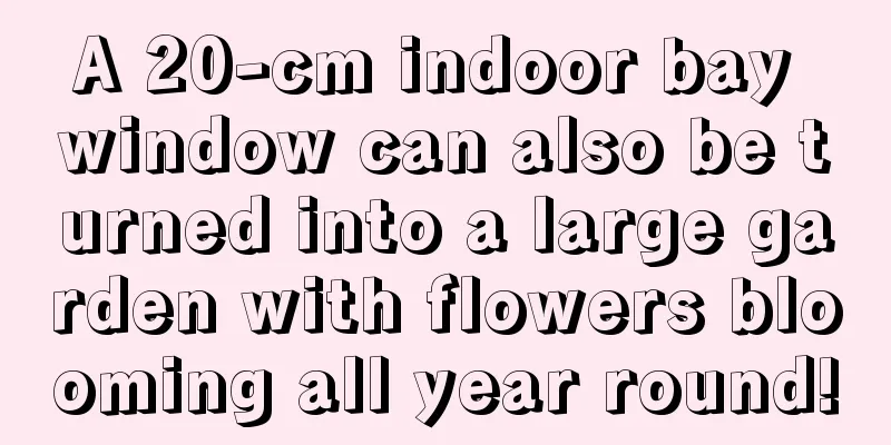 A 20-cm indoor bay window can also be turned into a large garden with flowers blooming all year round!