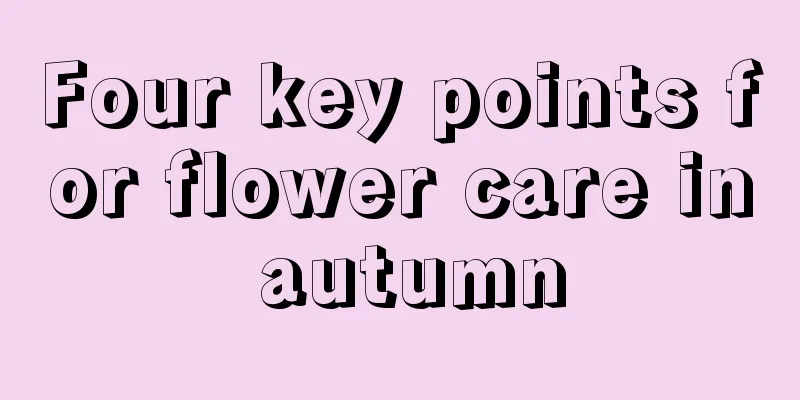 Four key points for flower care in autumn