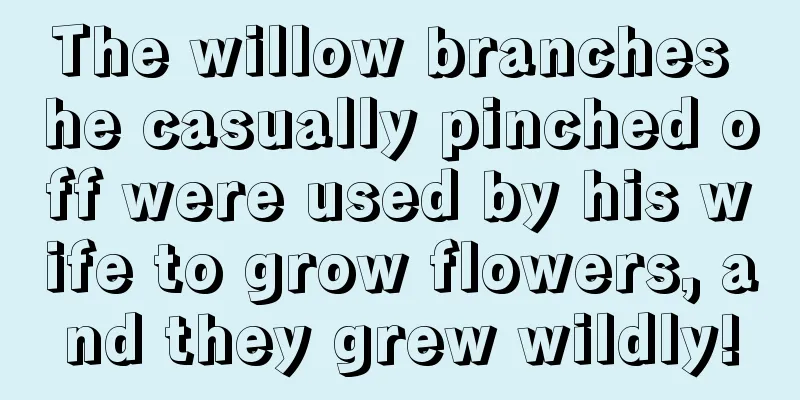 The willow branches he casually pinched off were used by his wife to grow flowers, and they grew wildly!