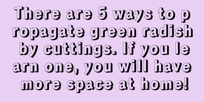 There are 5 ways to propagate green radish by cuttings. If you learn one, you will have more space at home!