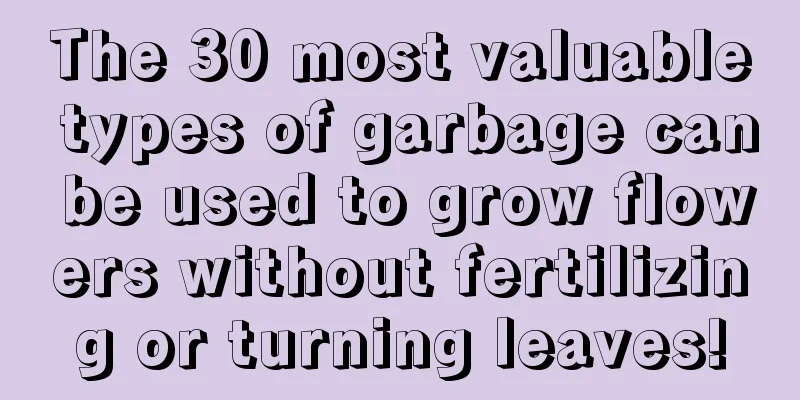 The 30 most valuable types of garbage can be used to grow flowers without fertilizing or turning leaves!