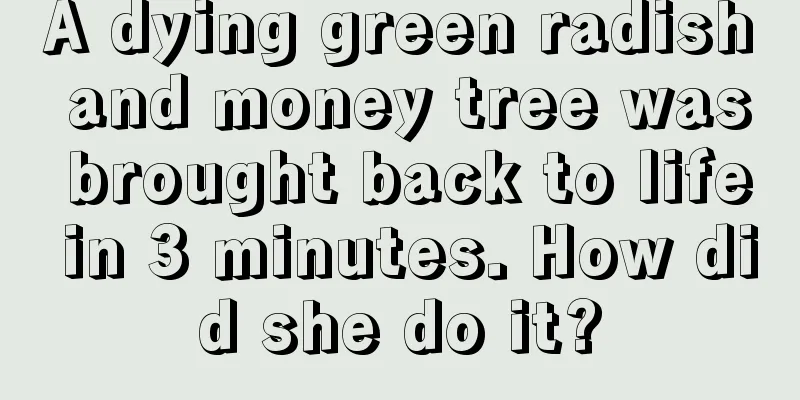 A dying green radish and money tree was brought back to life in 3 minutes. How did she do it?