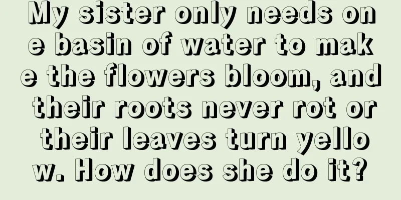 My sister only needs one basin of water to make the flowers bloom, and their roots never rot or their leaves turn yellow. How does she do it?