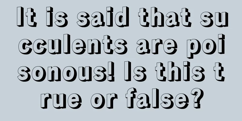 It is said that succulents are poisonous! Is this true or false?