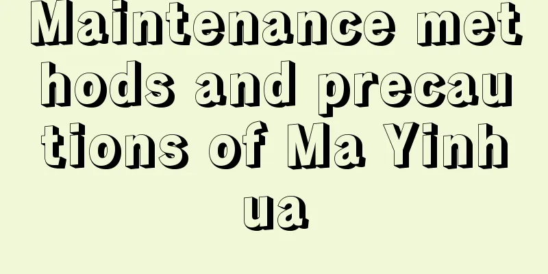 Maintenance methods and precautions of Ma Yinhua