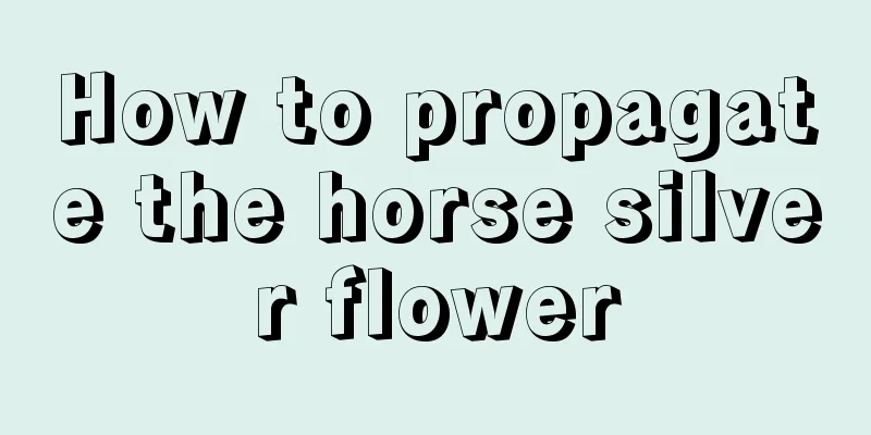 How to propagate the horse silver flower