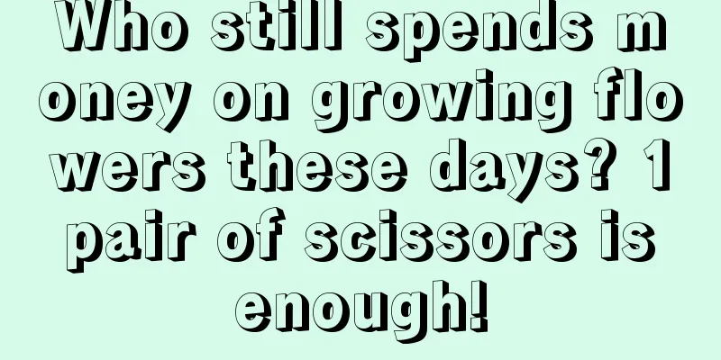 Who still spends money on growing flowers these days? 1 pair of scissors is enough!