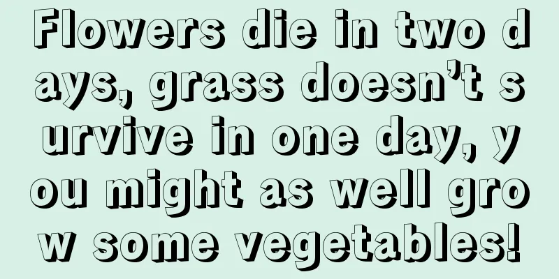 Flowers die in two days, grass doesn’t survive in one day, you might as well grow some vegetables!