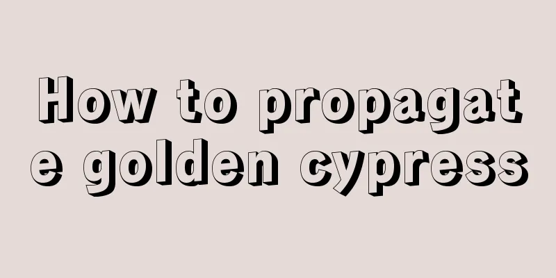 How to propagate golden cypress