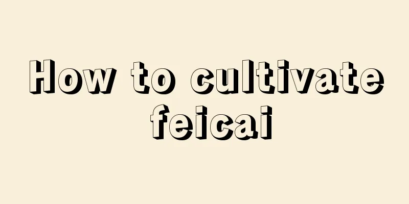 How to cultivate feicai