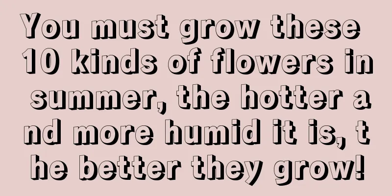 You must grow these 10 kinds of flowers in summer, the hotter and more humid it is, the better they grow!