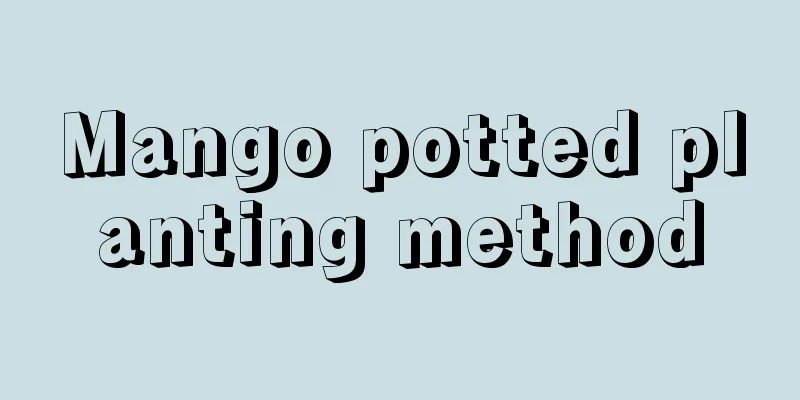 Mango potted planting method