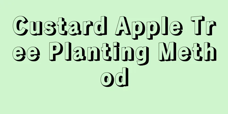 Custard Apple Tree Planting Method