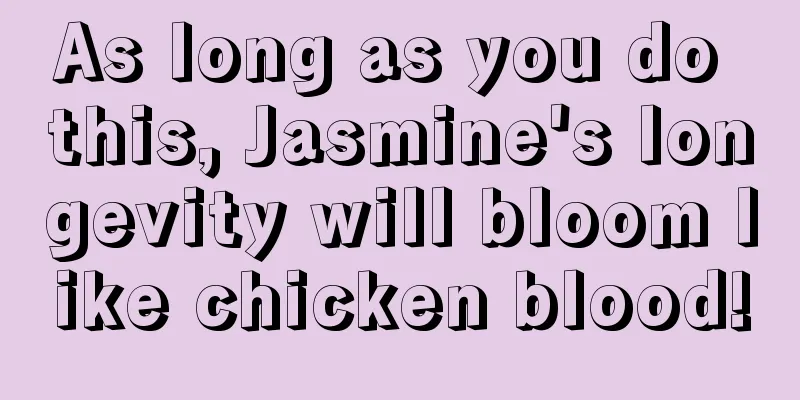 As long as you do this, Jasmine's longevity will bloom like chicken blood!