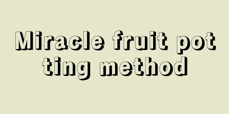 Miracle fruit potting method