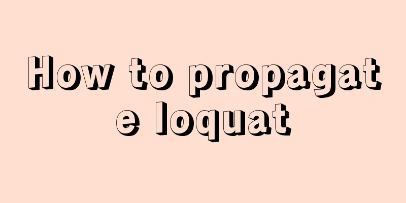 How to propagate loquat