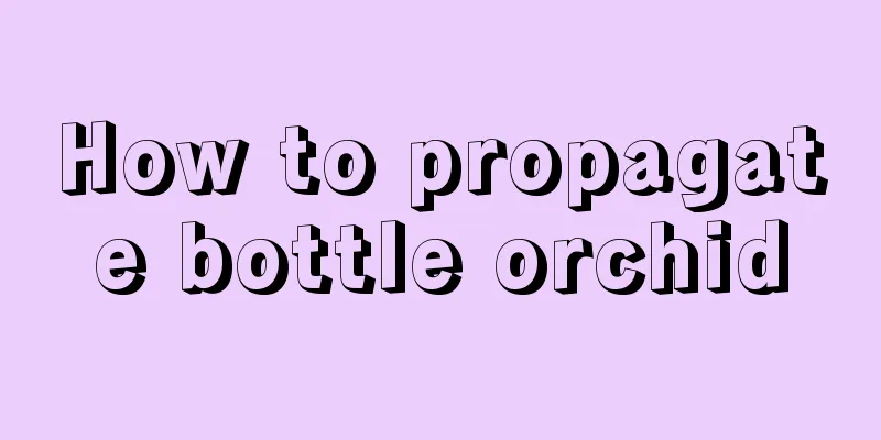 How to propagate bottle orchid