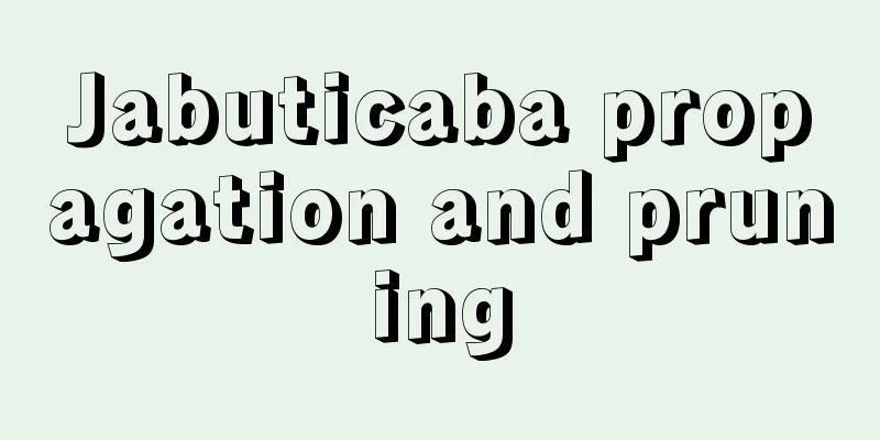 Jabuticaba propagation and pruning