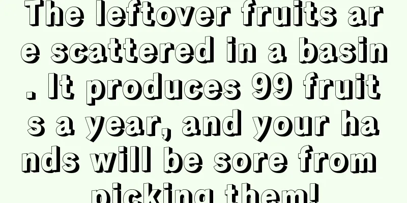 The leftover fruits are scattered in a basin. It produces 99 fruits a year, and your hands will be sore from picking them!