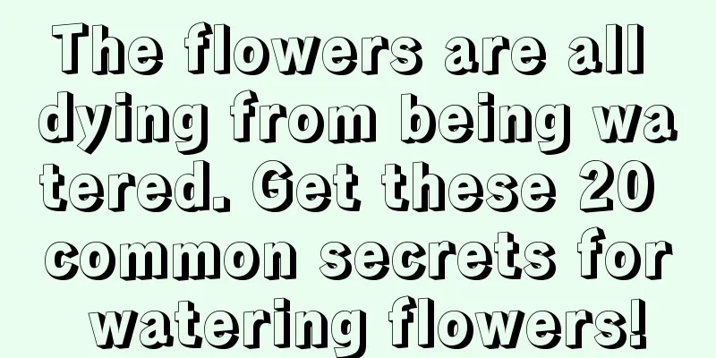 The flowers are all dying from being watered. Get these 20 common secrets for watering flowers!