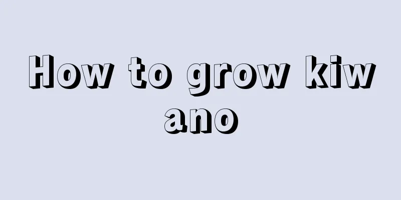 How to grow kiwano